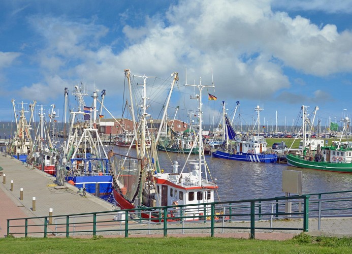 Der Fischereihafen